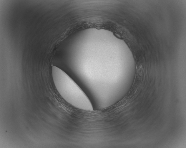 X0000073950772200608210941