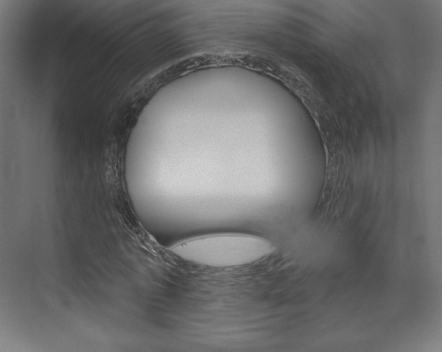 X0000073950773200608210941