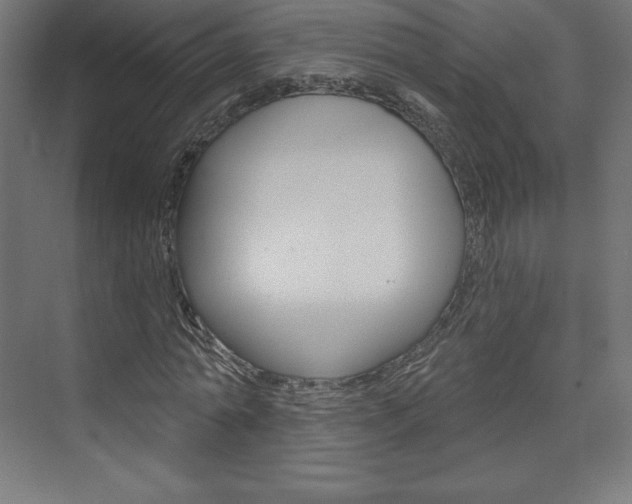 X0000073950774200608210941