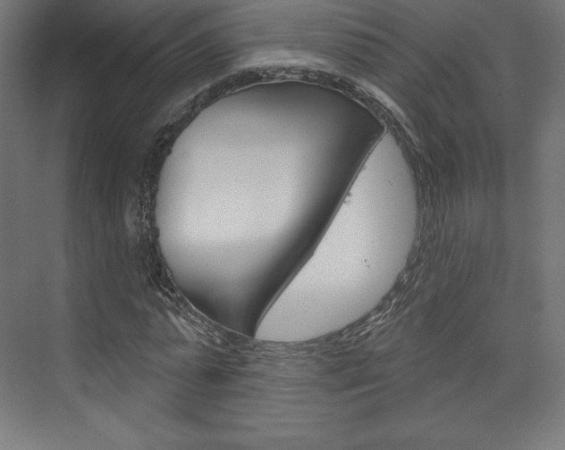 X0000073950775200608210941