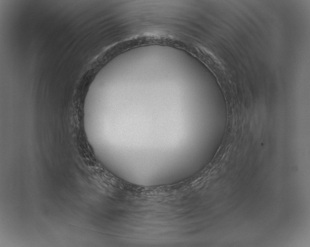 X0000073950776200608210941