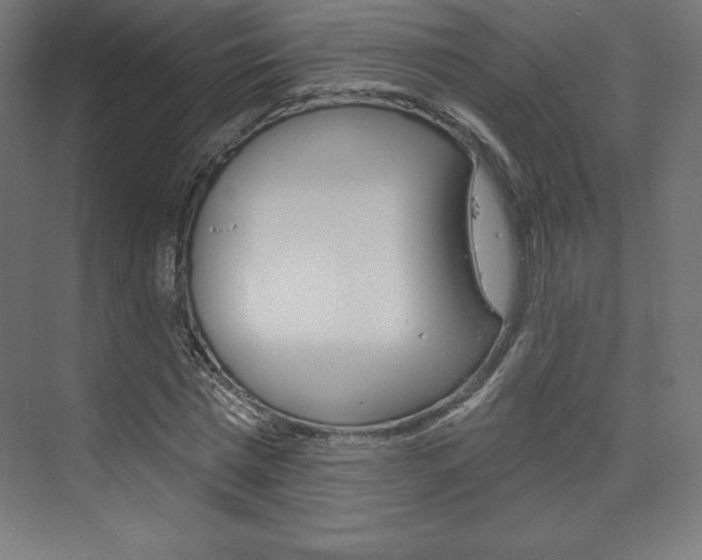 X0000073950777200608210941