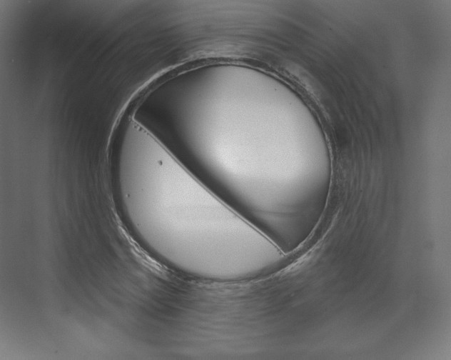 X0000073950779200608210941