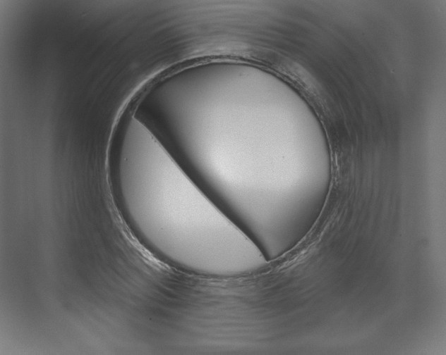 X0000073950780200608210941