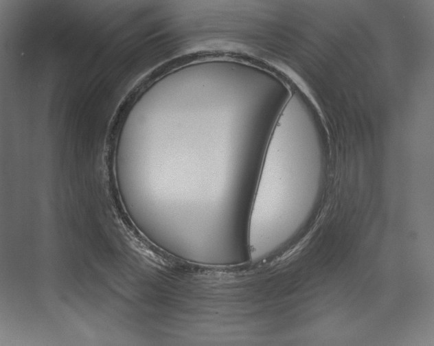 X0000073950783200608210941