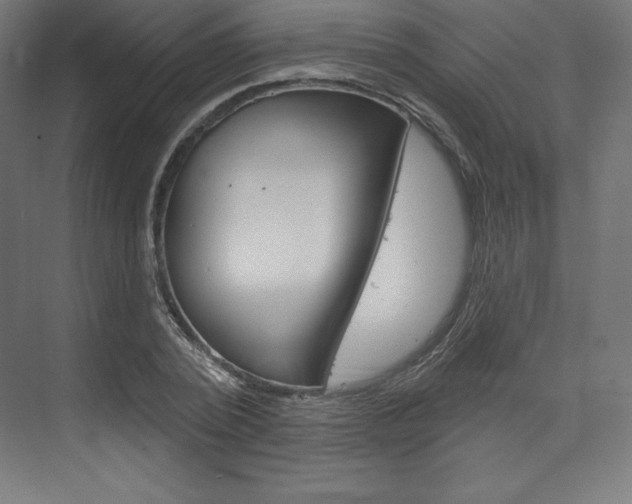X0000073950784200608210941
