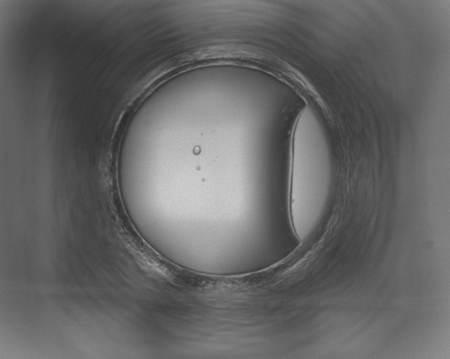 X0000073950786200608210941