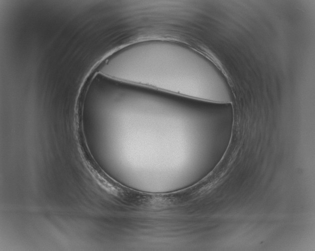X0000073950787200608210941