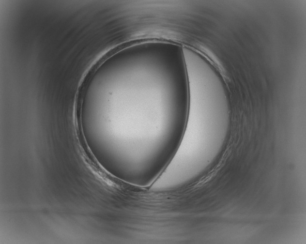 X0000073950788200608210941