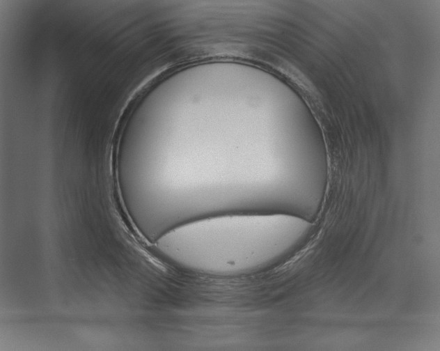 X0000073950790200608210941