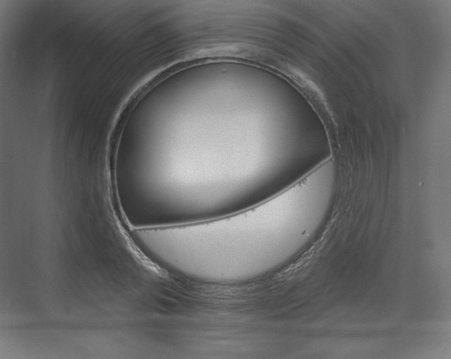 X0000073950792200608210941