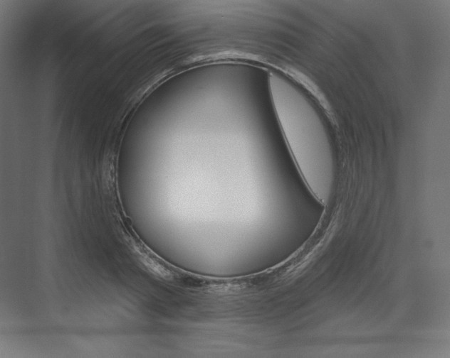 X0000073950793200608210941