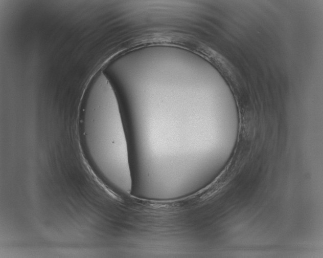 X0000073950794200608210941