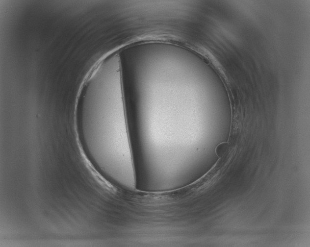 X0000073950795200608210941