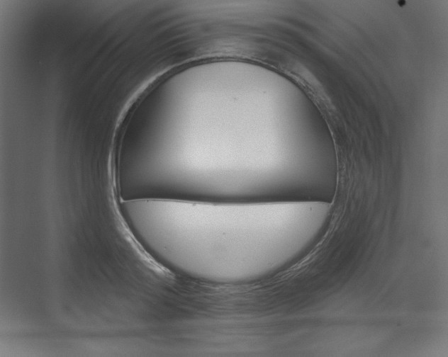 X0000073950796200608210941