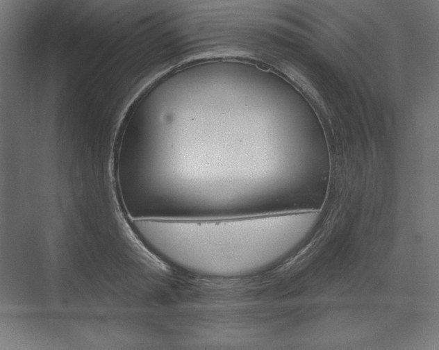 X0000073950797200608210941