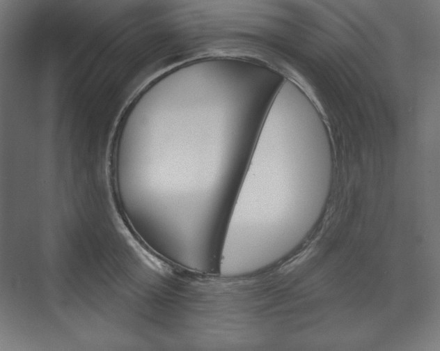 X0000073950803200608210941