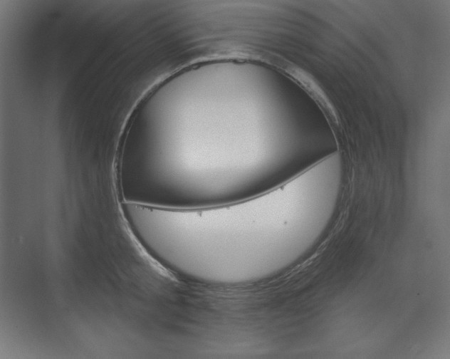 X0000073950805200608210941