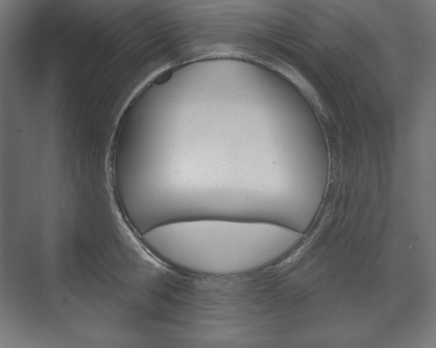 X0000073950806200608210941