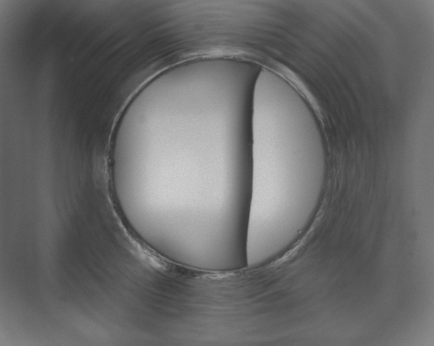 X0000073950810200608210941