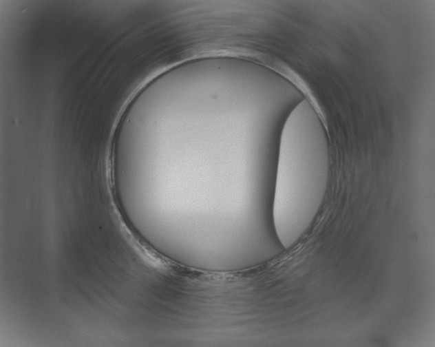 X0000073950811200608210941