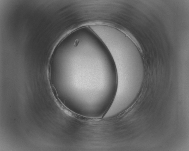 X0000073950813200608210941