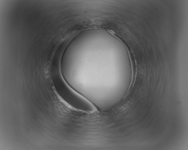 X0000073950818200608210940
