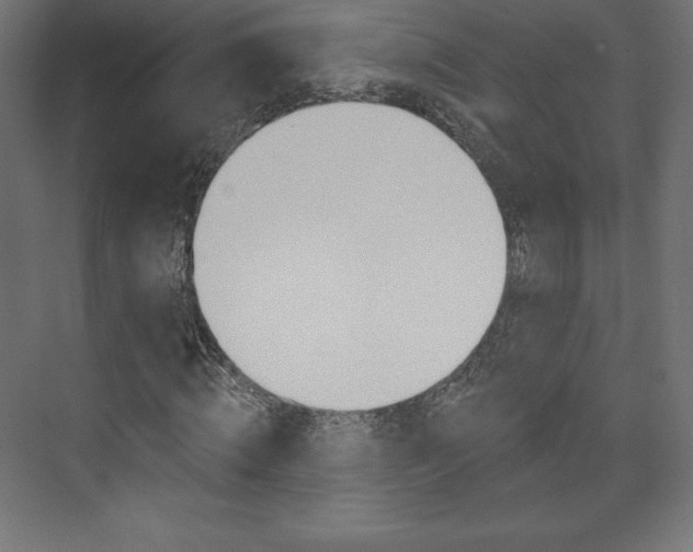 X0000073950820200608210940