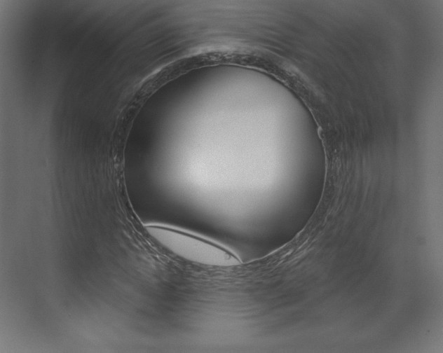 X0000073950822200608210940