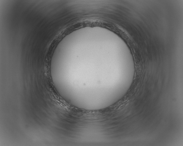 X0000073950823200608210940