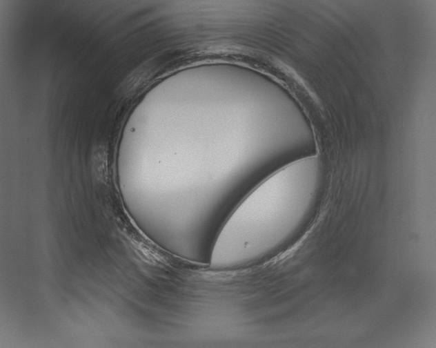 X0000073950825200608210940