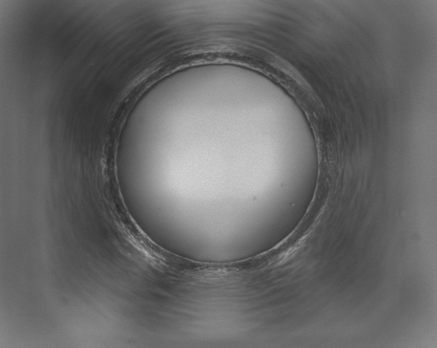 X0000073950826200608210940