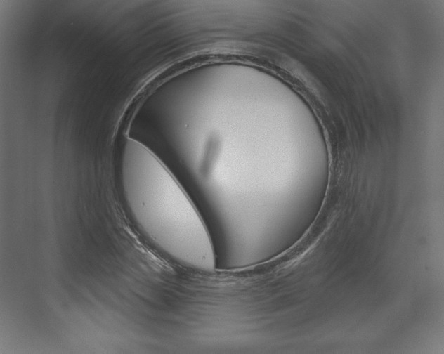 X0000073950829200608210940