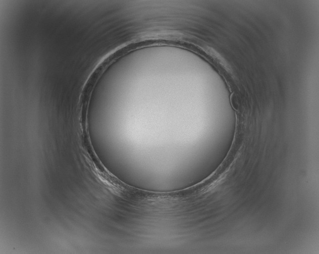 X0000073950830200608210940