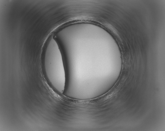 X0000073950831200608210940