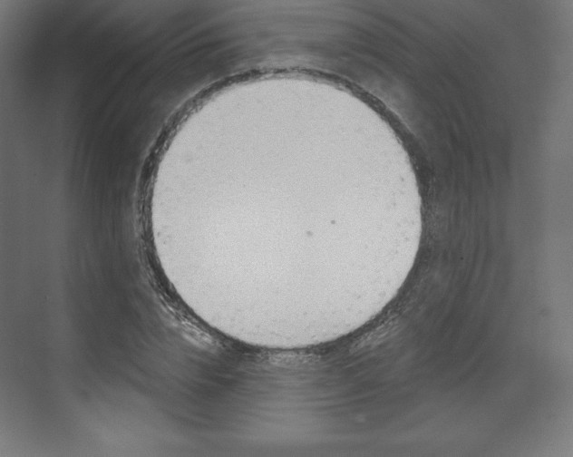 X0000073950832200608210940