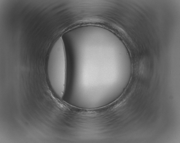 X0000073950833200608210940