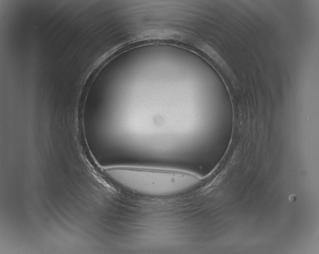 X0000073950834200608210940