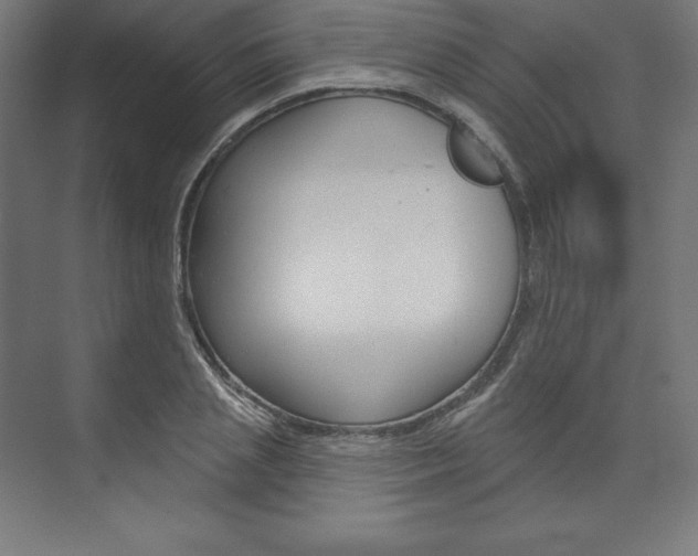 X0000073950837200608210940