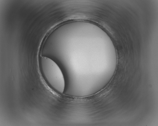 X0000073950840200608210940