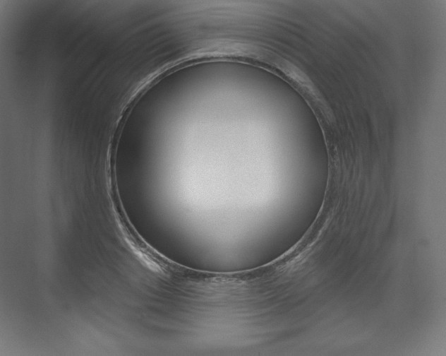 X0000073950842200608210940
