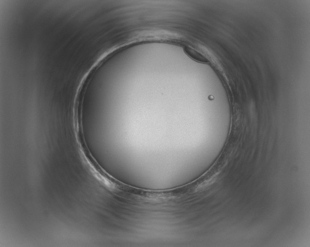 X0000073950843200608210940