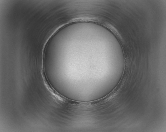 X0000073950844200608210940