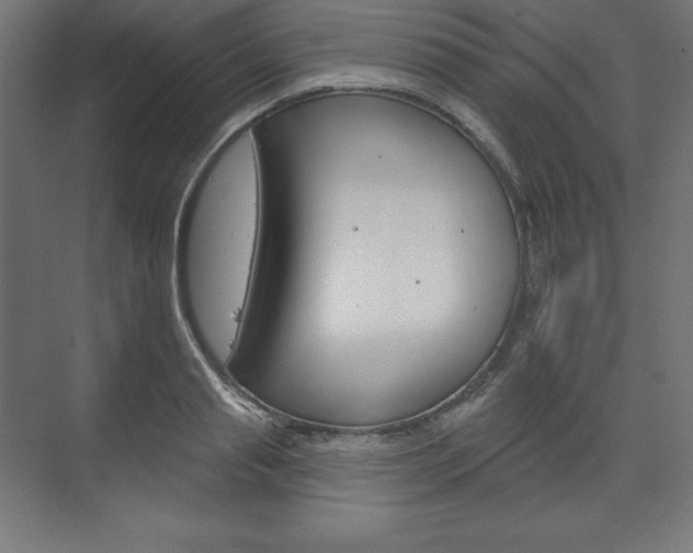 X0000073950845200608210940