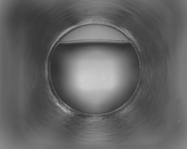 X0000073950846200608210940