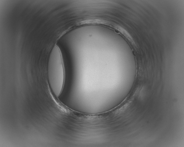 X0000073950849200608210940