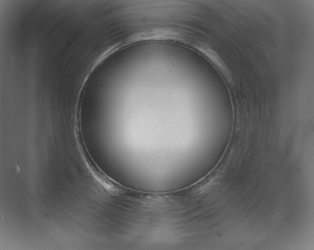 X0000073950850200608210940