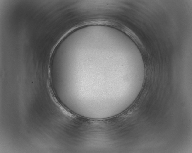 X0000073950852200608210940