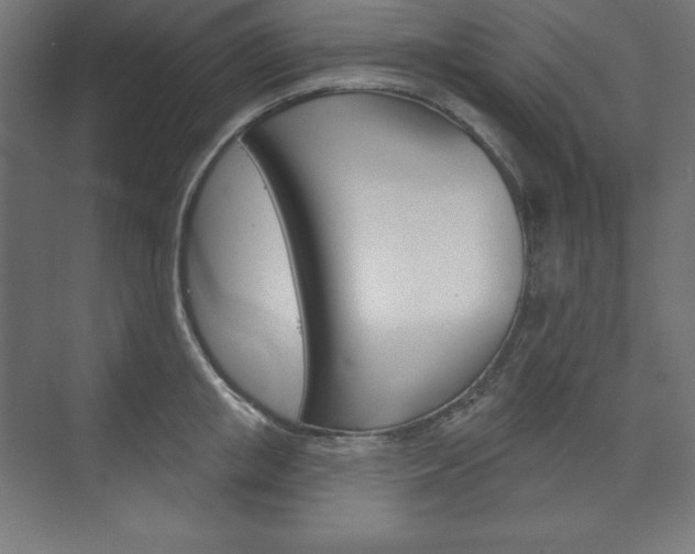 X0000073950853200608210940