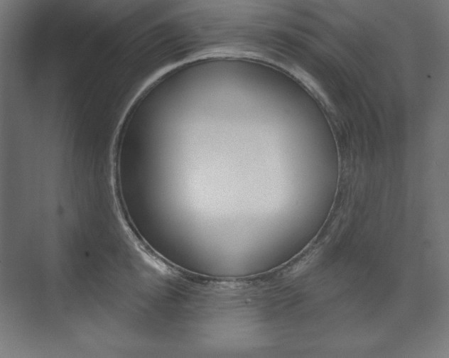 X0000073950854200608210940